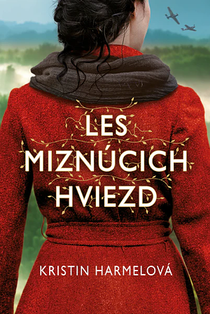 Les miznúcich hviezd by Kristin Harmel, Kristin Harmel