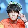 littlelarks's profile picture