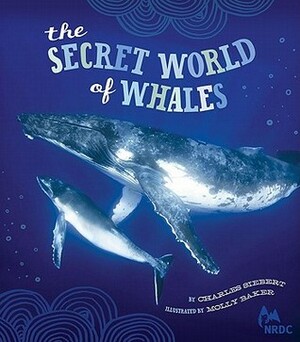 NRDC The Secret World of Whales by Charles Siebert
