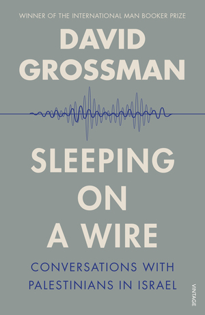 Sleeping On A Wire: Conversations With Palestinians In Israel by David Grossman