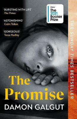 The Promise by Damon Galgut