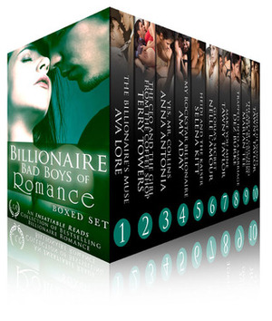 Billionaire Bad Boys of Romance Boxed Set by Marian Tee, Selena Kitt, Ava Lore, Amy Aday, Terry Towers, Dez Burke, Anna Antonia, Nelle L'Amour, Tawny Taylor