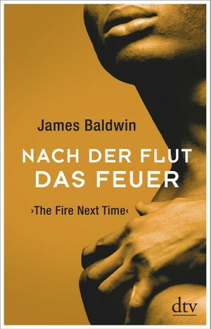 Nach der Flut das Feuer by James Baldwin