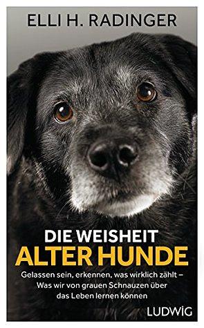 Die Weisheit alter Hunde: Gelassen sein, erkennen, was wirklich zählt – Was wir von grauen Schnauzen über das Leben lernen können by Elli H. Radinger