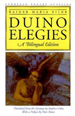 Duino Elegies: A Bilingual Edition by Rainer Maria Rilke