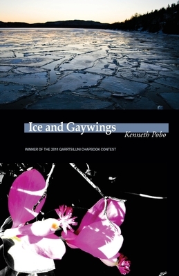 Ice and Gaywings by Kenneth Pobo