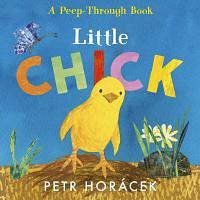 Little Chick by Petr Horacek