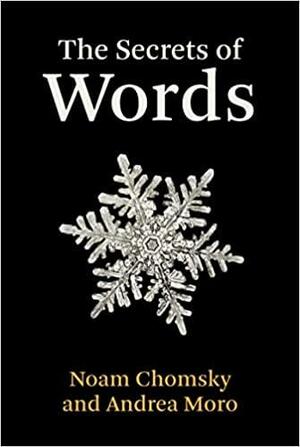 The Secrets of Words by Andrea Moro, Noam Chomsky