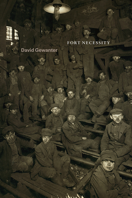 Fort Necessity by David Gewanter