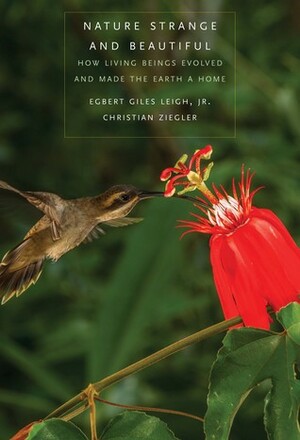 Nature Strange and Beautiful: How Living Beings Evolved and Made the Earth a Home by Christian Ziegler, Egbert Giles Leigh