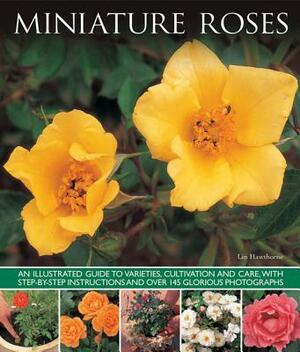 Miniature Roses by Lin Hawthorne