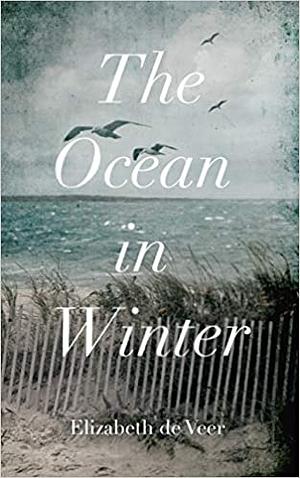 The Ocean In Winter by Elizabeth de Veer