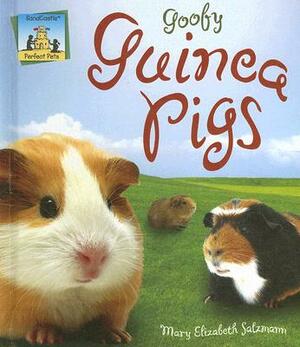 Goofy Guinea Pigs by Mary Elizabeth Salzmann