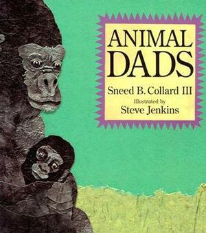 Animal Dads by Sneed B. Collard III, Steve Jenkins