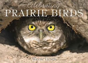 Celebrating Prairie Birds by Wayne Lynch