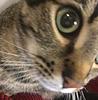 phoebejeziel's profile picture