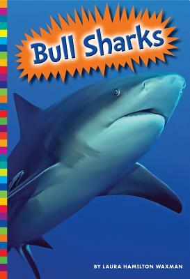 Bull Sharks by Laura Hamilton Waxman