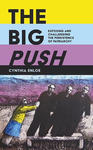 Big Push: Exposing and Challenging the Persistence of Patriarchy by Cynthia Enloe, Cynthia Enloe