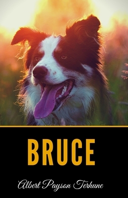 Bruce by Albert Payson Terhune