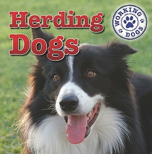 Herding Dogs by Mary Ann Hoffman