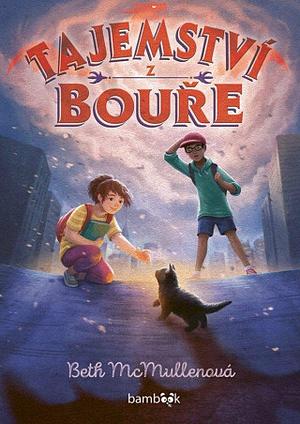 Tajemství z bouře by Beth McMullen
