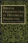 Biblical Hermeneutics In Historical Perspective: Studies In Honor Of Karlfried Froehlich On His Sixtieth Birthday by Mark S. Burrows