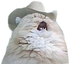 rivera_jameson's profile picture