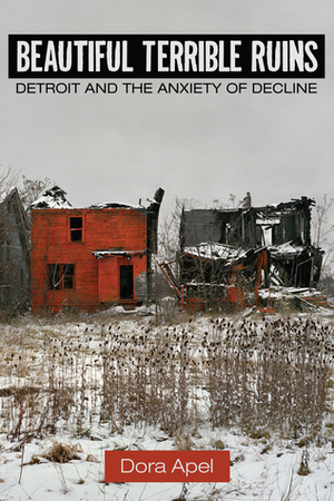 Beautiful Terrible Ruins: Detroit and the Anxiety of Decline by Dora Apel