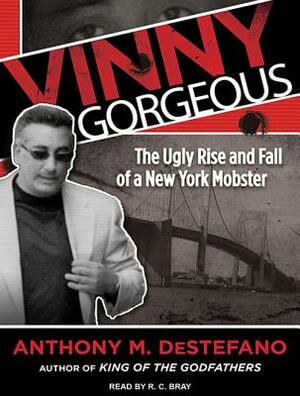 Vinny Gorgeous: The Ugly Rise and Fall of a New York Mobster by Anthony M. DeStefano