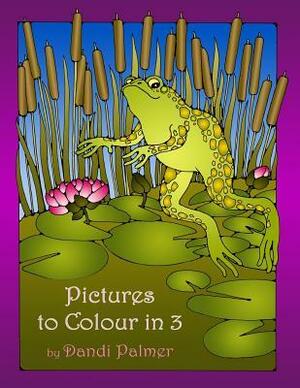 Pictures to Colour in 3 by Dandi Palmer