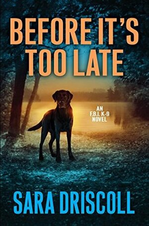 Before It's Too Late by Sara Driscoll, Jen J. Danna, Ann Vanderlaan