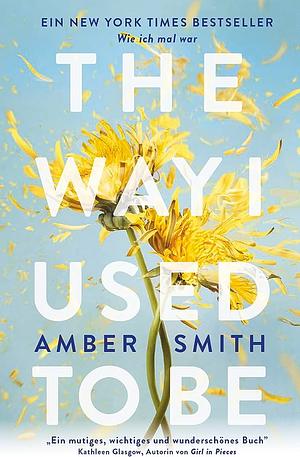 The way I used to be by Amber Smith