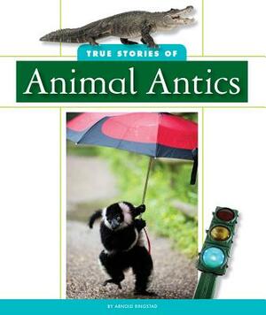 True Stories of Animal Antics by Arnold Ringstad