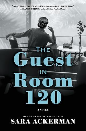 The Guest in Room 120 by Sara Ackerman