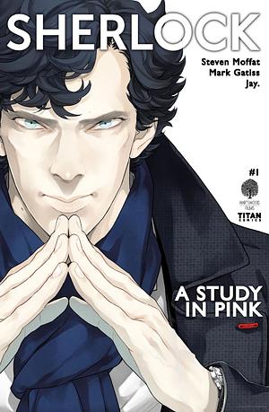 Sherlock: A Study in Pink  by Steven Moffat