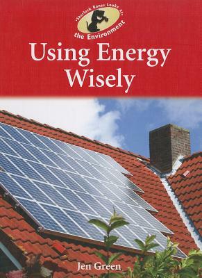 Using Energy Wisely by Jen Green