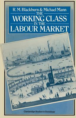 The Working Class in the Labour Market by R. M. Blackburn, Michael Mann