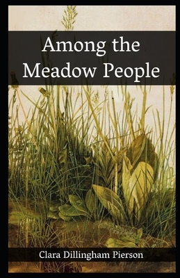 Among the Meadow People (illustrated) by Clara Dillingham Pierson