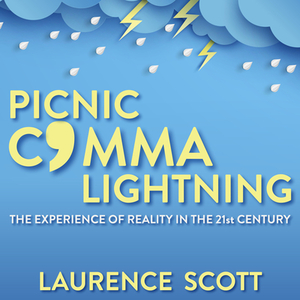 Picnic Comma Lightning: The Experience of Reality in the Twenty-First Century by Laurence Scott