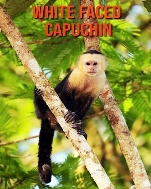 White Faced Capuchin: Learn About White Faced Capuchin and Enjoy Colorful Pictures by Matilda Leo