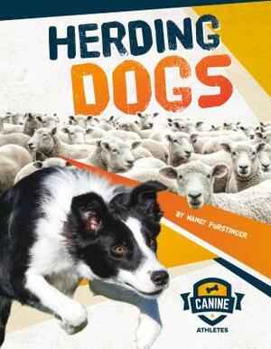 Herding Dogs by Nancy Furstinger