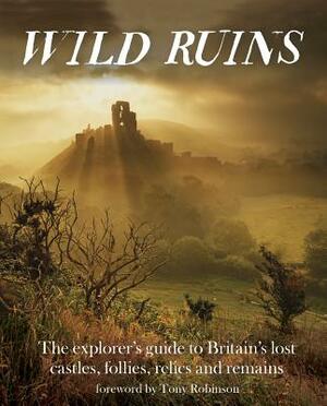 Wild Ruins: The Explorer's Guide to Britain's Lost Castles, Follies, Relics and Remains by Dave Hamilton