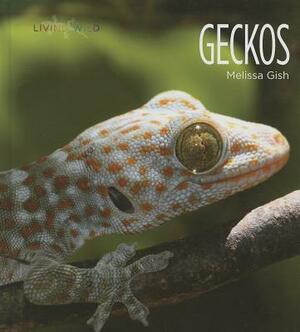 Geckos by Melissa Gish