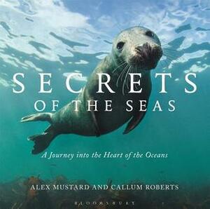 Secrets of the Seas: A journey into the heart of the oceans by Alex Mustard, Callum Roberts