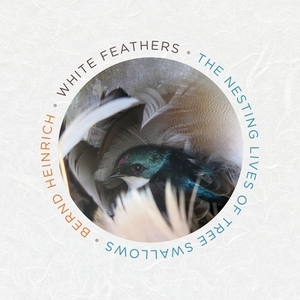 White Feathers: The Nesting Lives of Tree Swallows by Bernd Heinrich