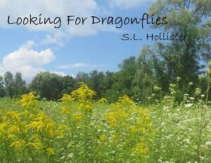 Looking for Dragonflies by S. L. Hollister