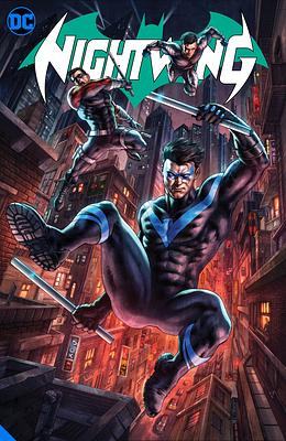 Nightwing, Vol 11 by Dan Jurgens