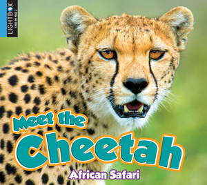 Meet the Cheetah by Katie Gillespie