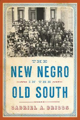 The New Negro in the Old South by Gabriel A. Briggs