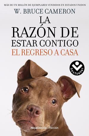 El regreso a casa by W. Bruce Cameron